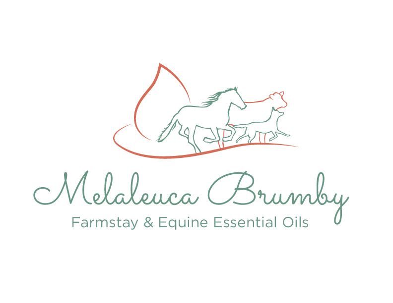 Logo Design by bc21 for Melaleuca Brumby | Design #17757106