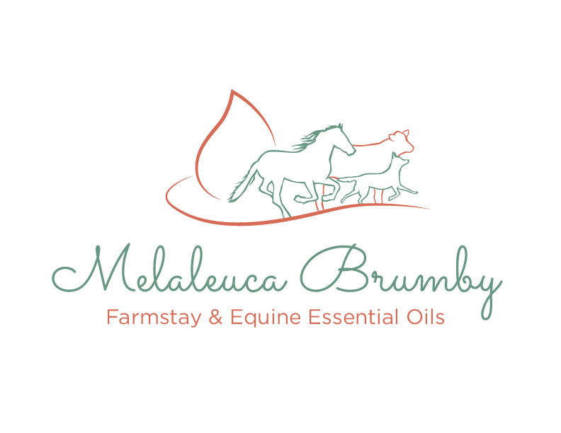 Logo Design by bc21 for Melaleuca Brumby | Design #17757107