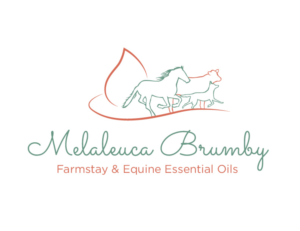 Logo Design by bc21 for Melaleuca Brumby | Design: #17757107
