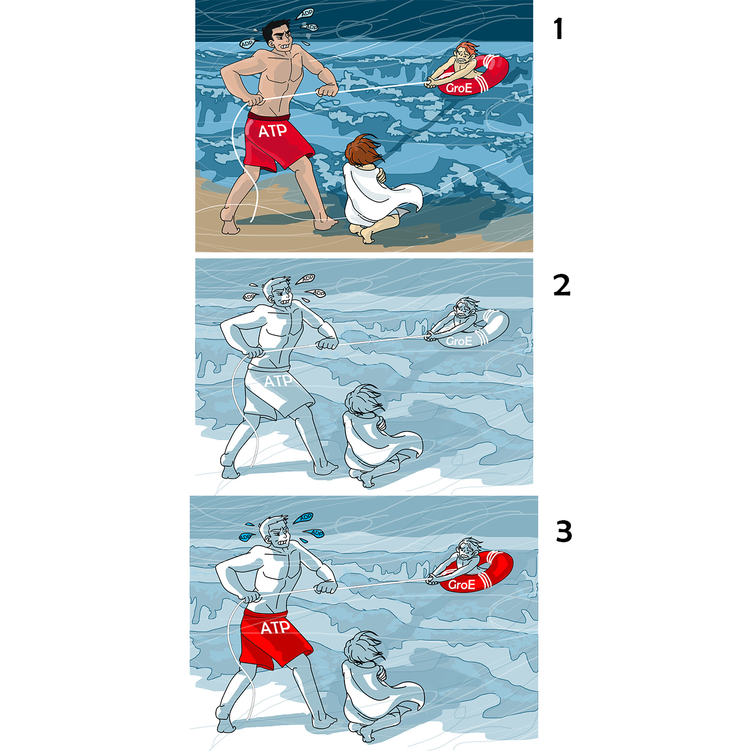 Design Illustration par Inés pour Howard Hughes Medical Institute | Design #17659004