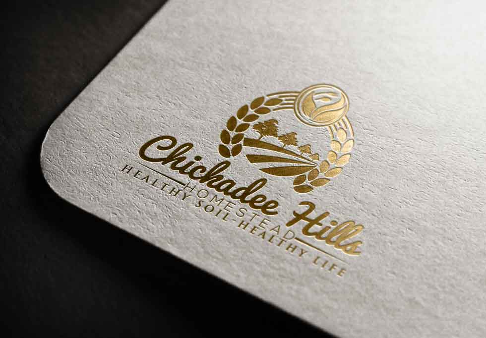 Logo Design by rocklee for Quantum Point Strategies | Design #17672803
