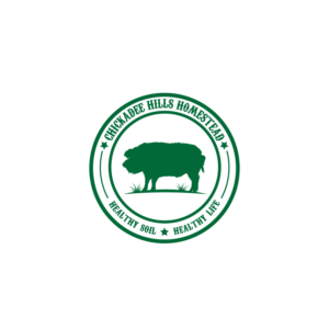 Logo Design by Sten7981