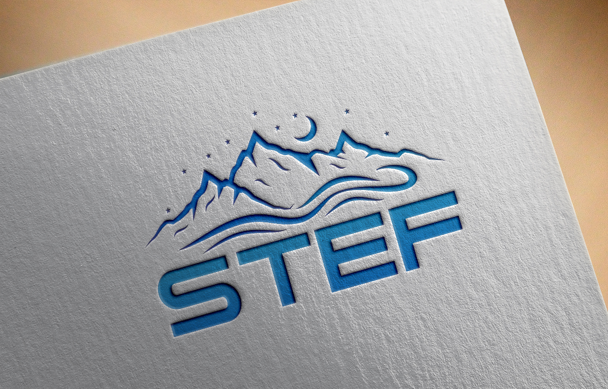 Logo Design by MAWBM for Adira Group | Design #17715880