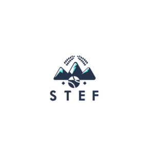 STEF | Logo Design by Dionis Design