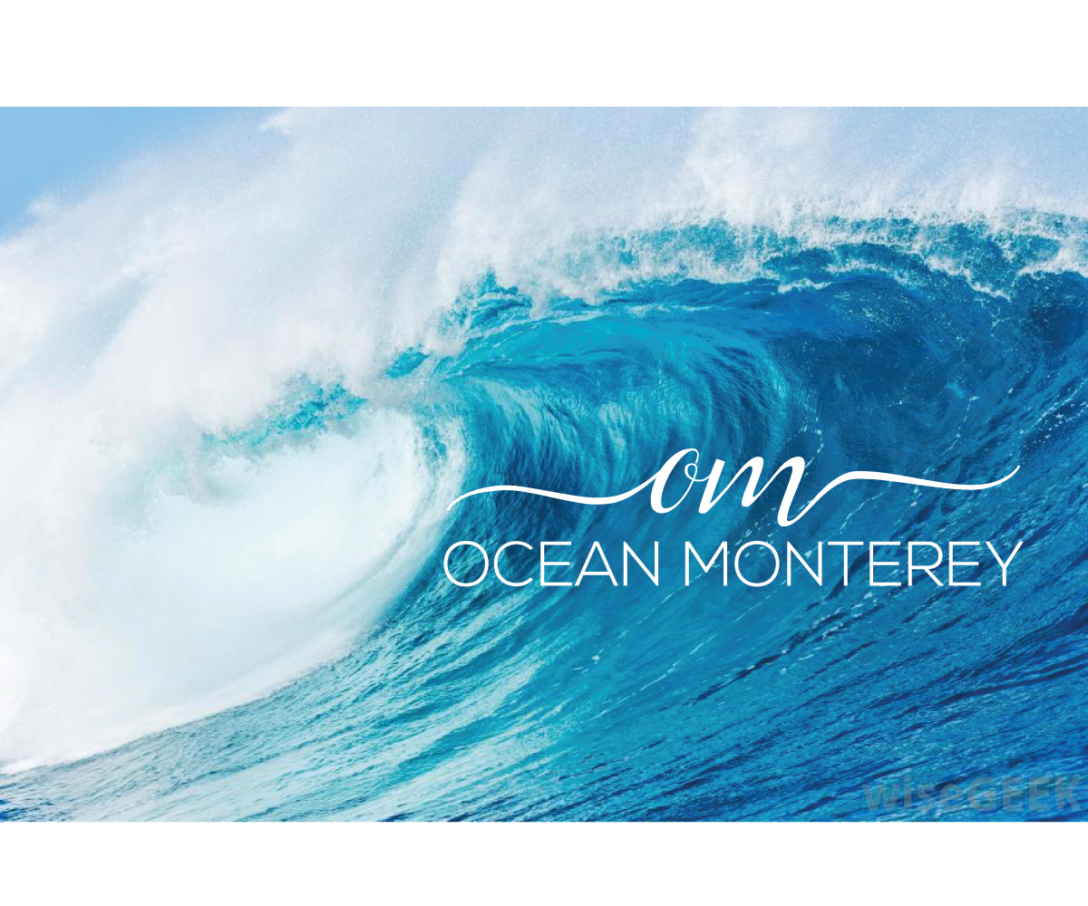 Logo Design by @m for Ocean Monterey | Design #18719425
