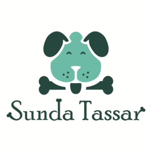 Logo Design by Buddhika Nalin