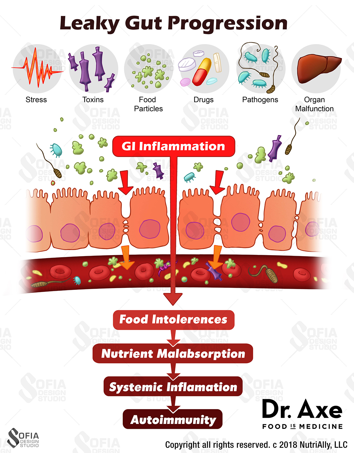 Illustration Design by SofiaDesignStudio for this project | Design #17661214