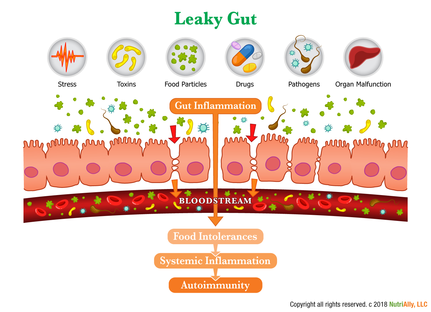 Illustration Design by SofiaDesignStudio for this project | Design #18408892