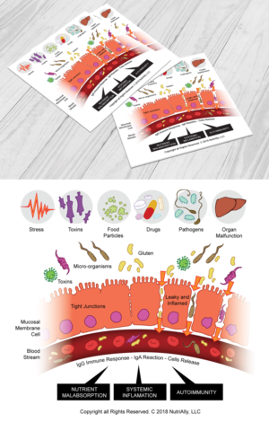 Illustration Design by Black Stallions Impressive Solutions for this project | Design #17647228