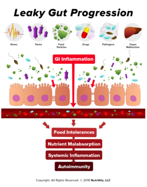NutriAlly Leaky Gut Illustration | Illustration Design by an-designs