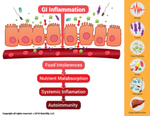 NutriAlly Leaky Gut Illustration | Illustration Design by DesignerGuide