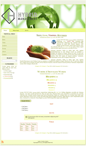 Wordpress Design by tarek_cs