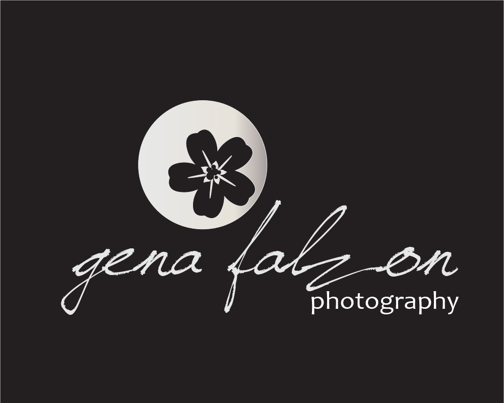 Logo Design by briliana for this project | Design #658650