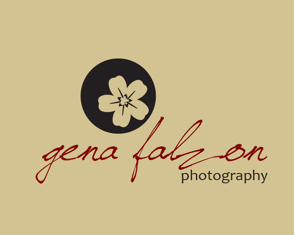Logo Design by briliana for this project | Design #658671
