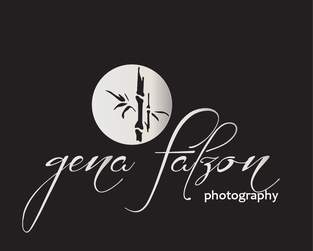Logo Design by briliana for this project | Design #658742