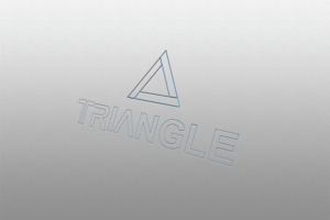 Logo Design by Hossen 2 for Triangle Educational Developmental Services | Design: #17668644