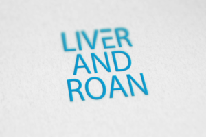 Logo-Design von Hossen 2 für dieses Projekt | Design: #17687709
