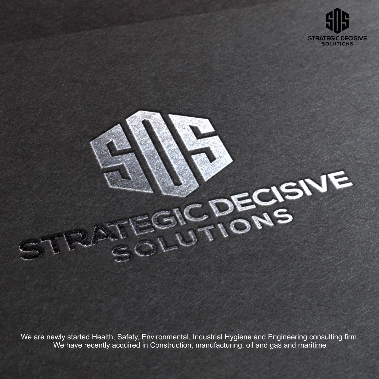 Diseño de Logo por Babang Aziz 2 para Strategic Decisive Solutions, LLC.  | Diseño #17831537
