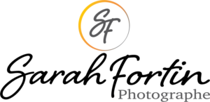 Logo Design by thiensky