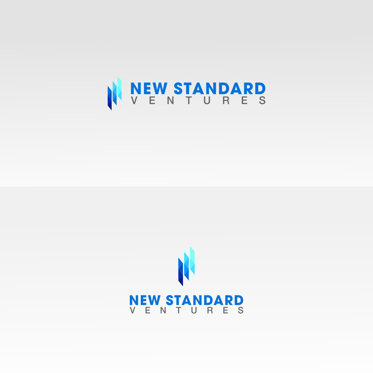 Diseño de Logo por Babang Aziz 2 para New Standard Ventures, LLC. | Diseño #17871087