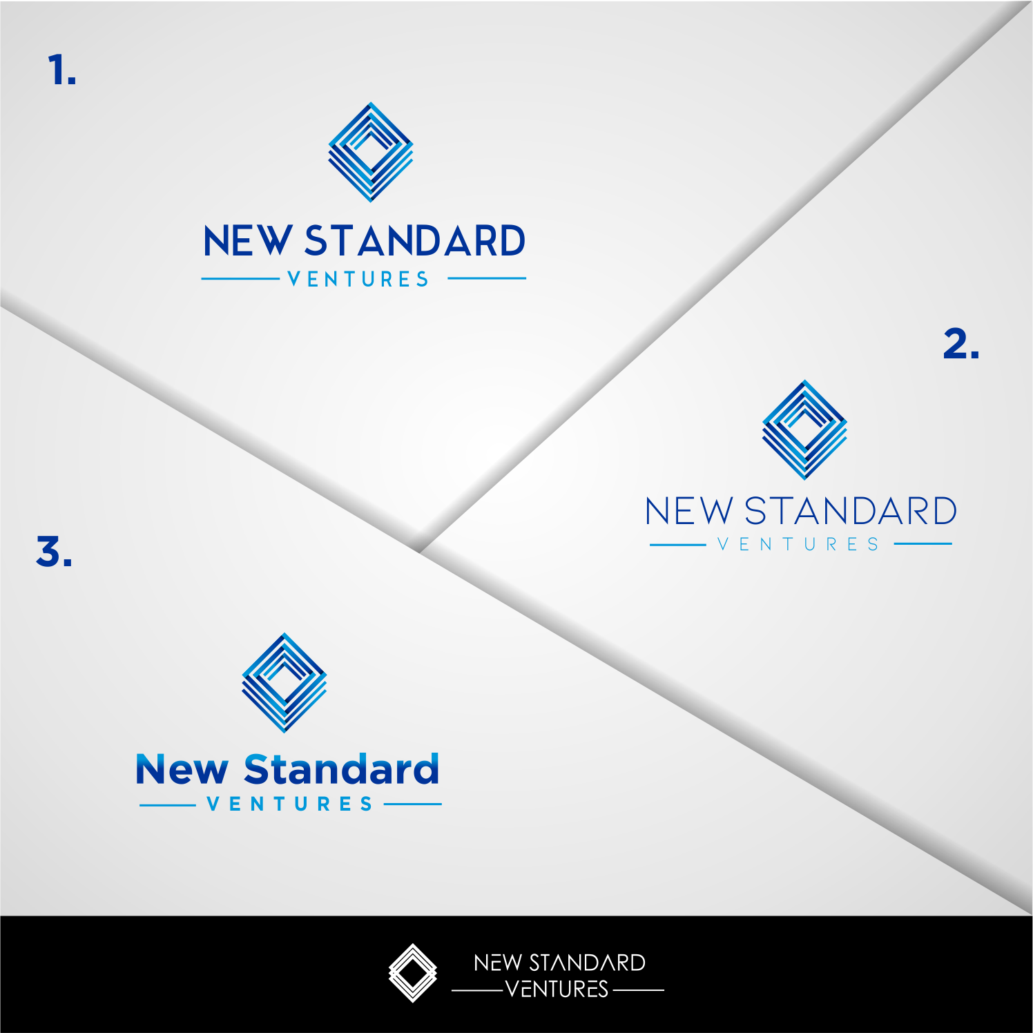 Diseño de Logo por Sronyuu para New Standard Ventures, LLC. | Diseño #17919968
