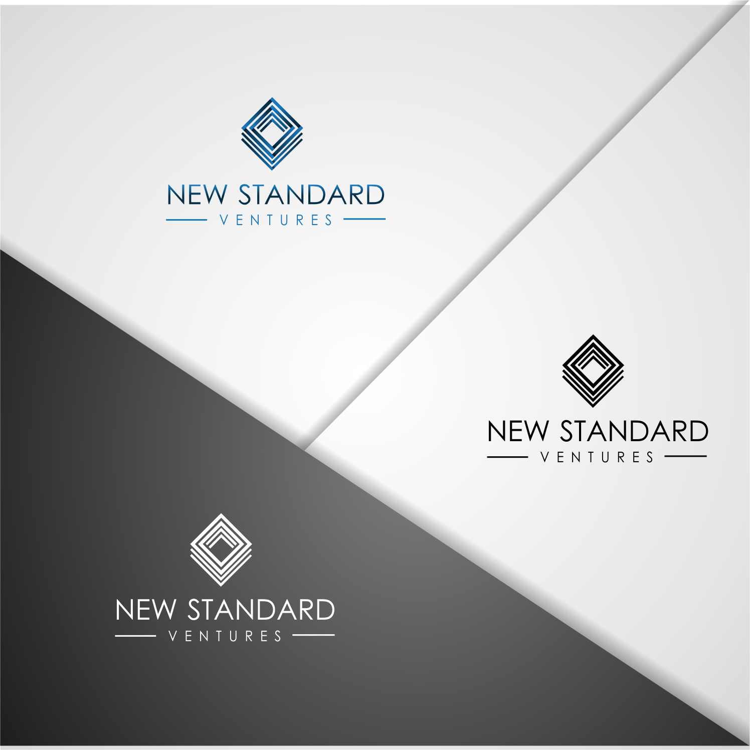 Design de Logo par Sronyuu pour New Standard Ventures, LLC. | Design #17940851