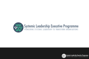 Systemic Leadership Executive Programme. Pioneering Systemic Leadership to Transform Organisations | Logo Design by jaime.sp