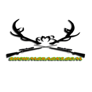 Logo Design by bonifacerotich5