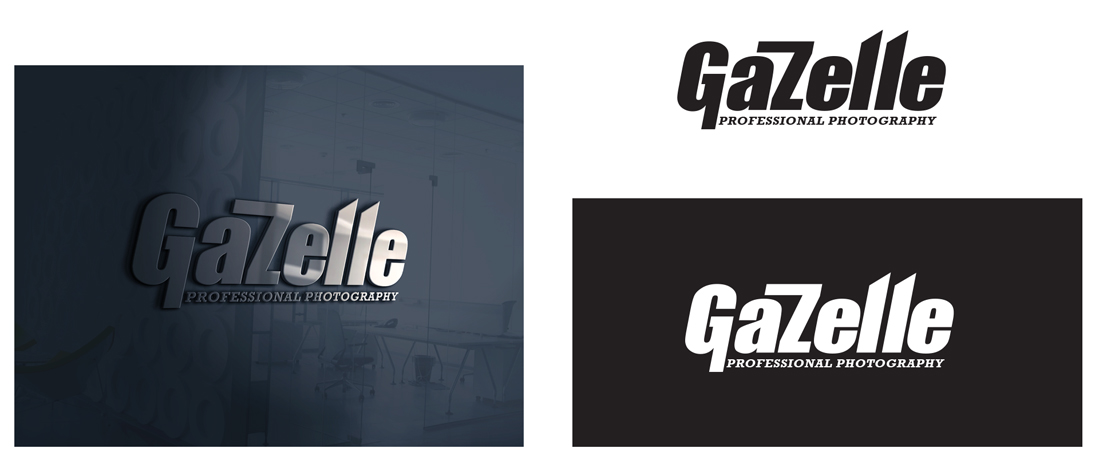 Logo Design by Expert Designer for this project | Design #17720376