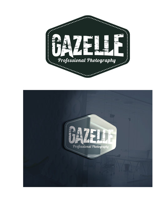 Logo Design by Expert Designer for this project | Design #17720377