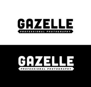Logo Design by Expert Designer for this project | Design: #17722216