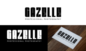 Logo Design by Expert Designer for this project | Design: #17735041