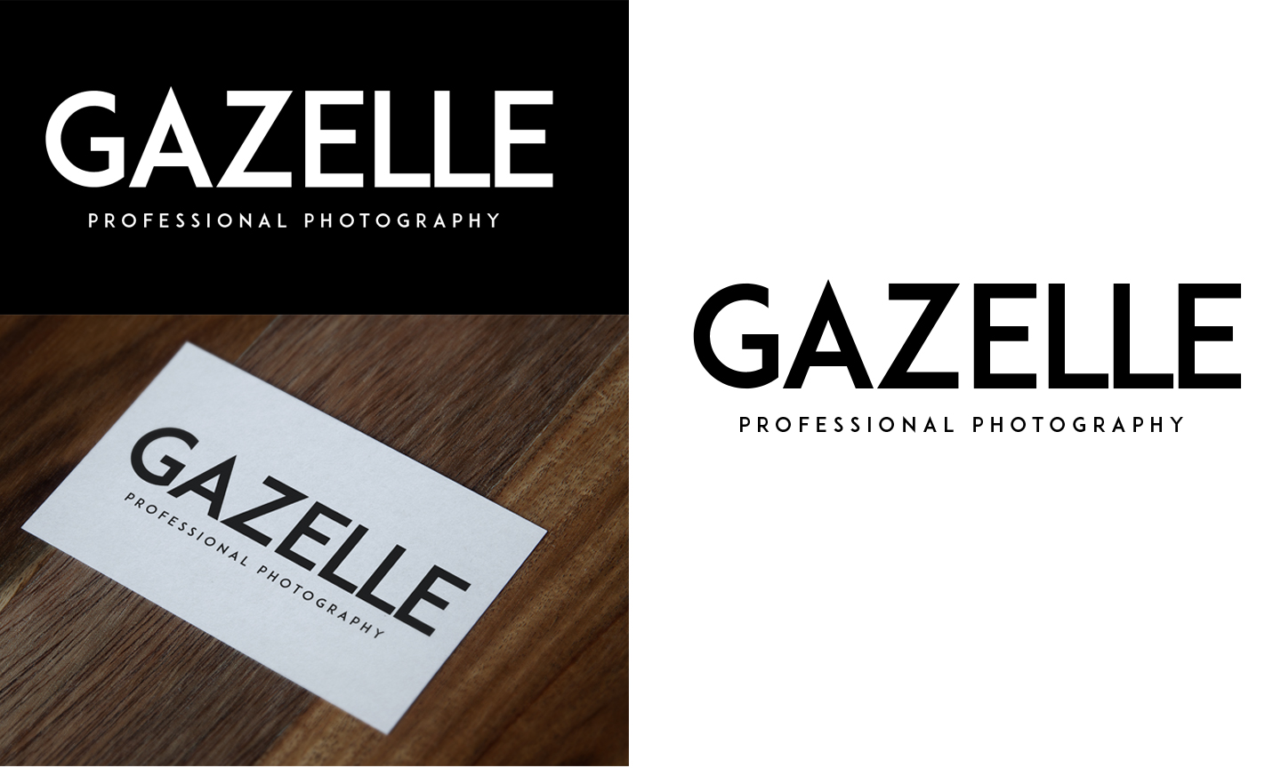 Logo Design by Expert Designer for this project | Design #17735042