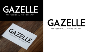 Logo Design by Expert Designer for this project | Design: #17735042