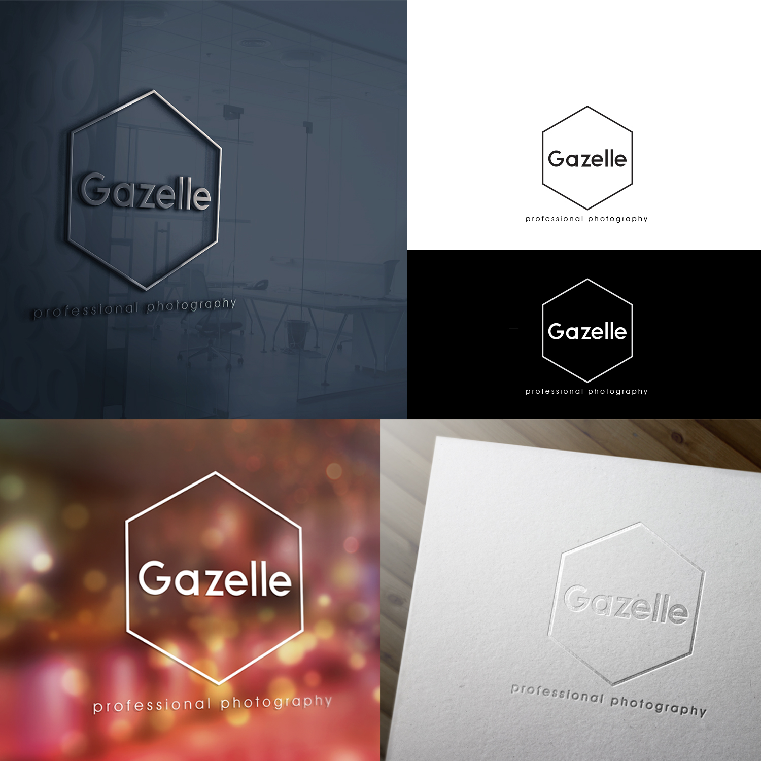 Logo Design by Expert Designer for this project | Design #17744996
