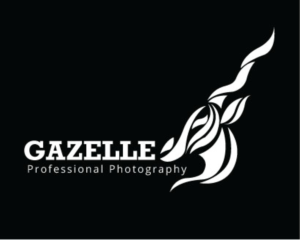 Logo Design by Himanshi10 for this project | Design #17690731