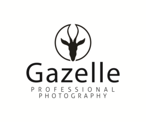 Logo Design by Taiki Design for this project | Design #17706021