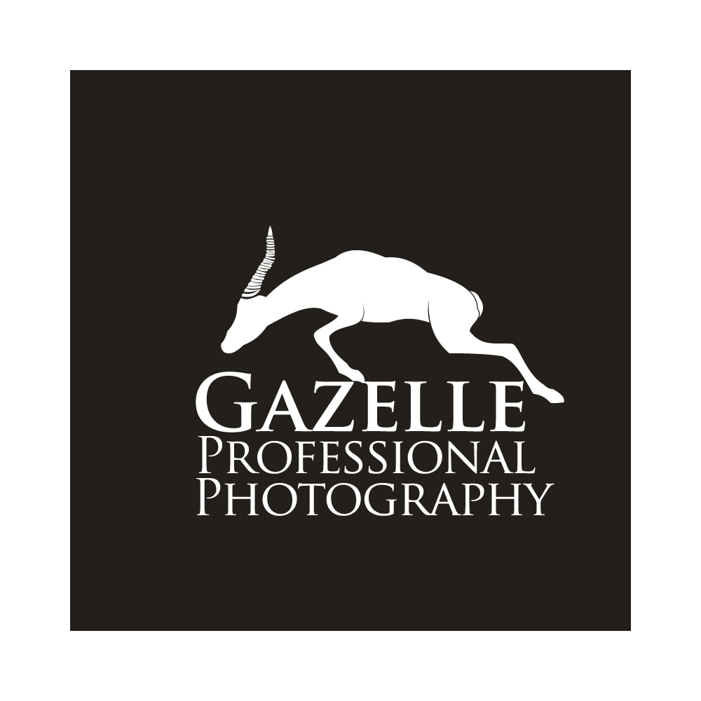 Logo-Design von DeesignPro für dieses Projekt | Design #17686827