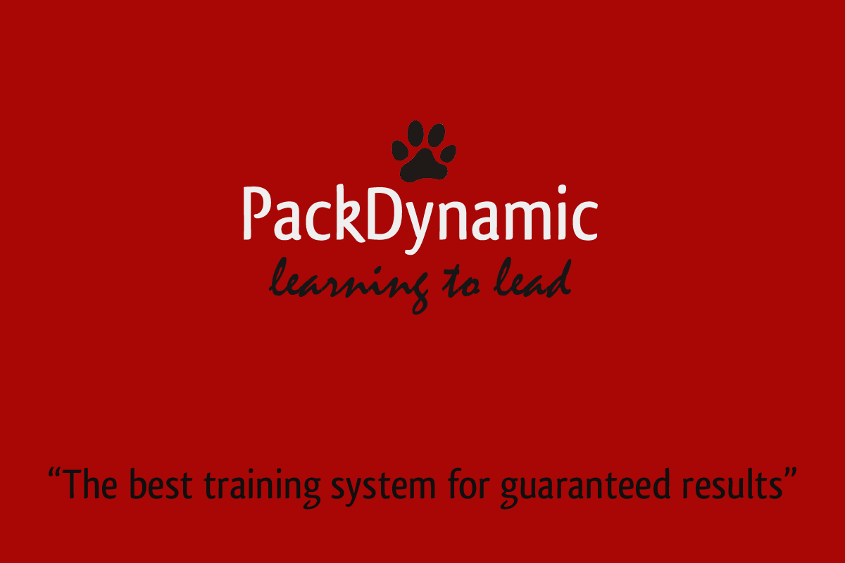 Business Card Design by Nitish for this project | Design #651005