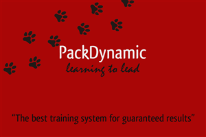 Business Card Design by Nitish for this project | Design: #651006