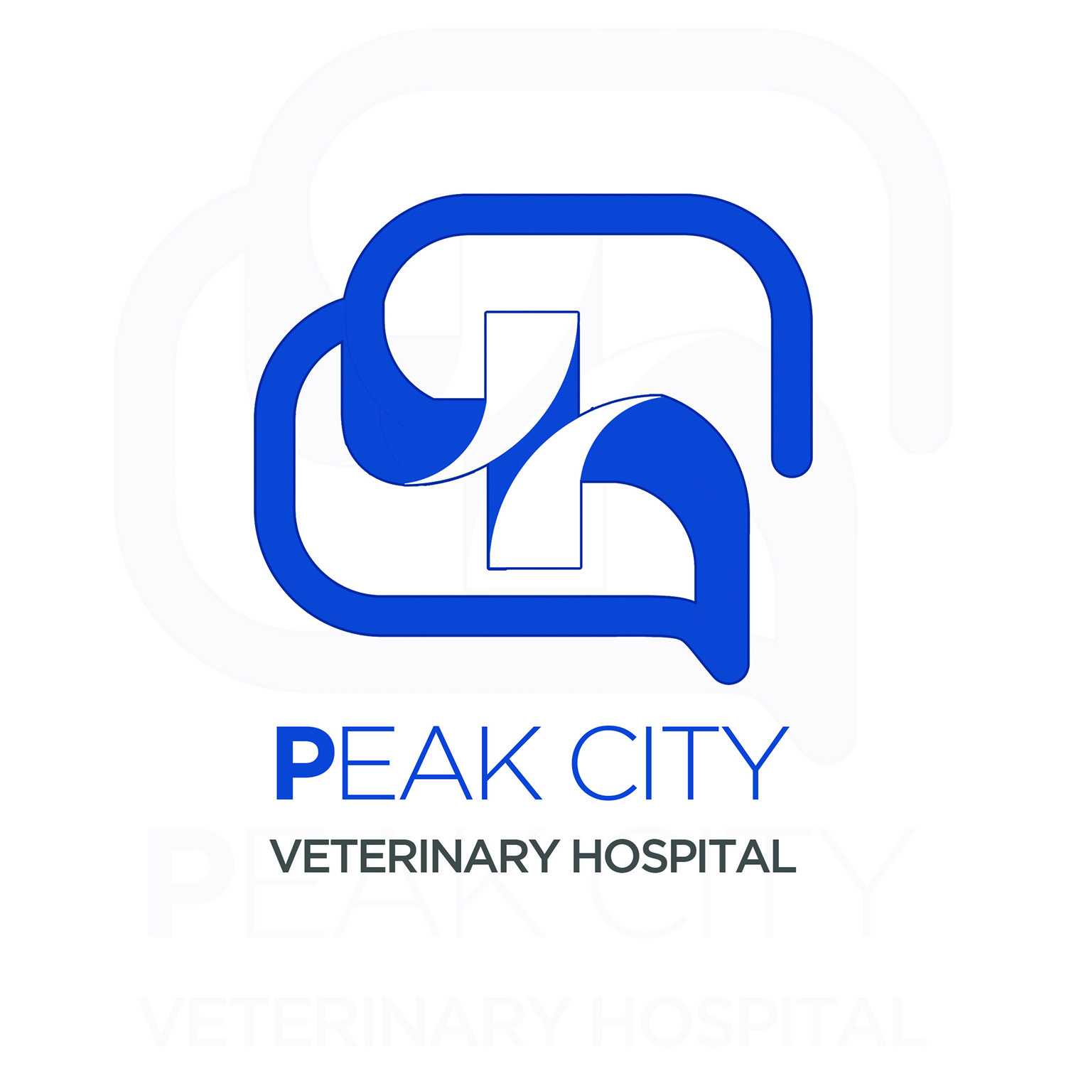 Logo Design by Jaideep Ghosh for Peak City Veterinary Hospital | Design #17751459