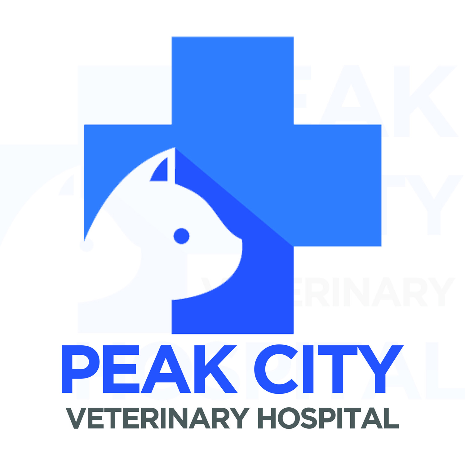 Logo-Design von Jaideep Ghosh für Peak City Veterinary Hospital | Design #17753734