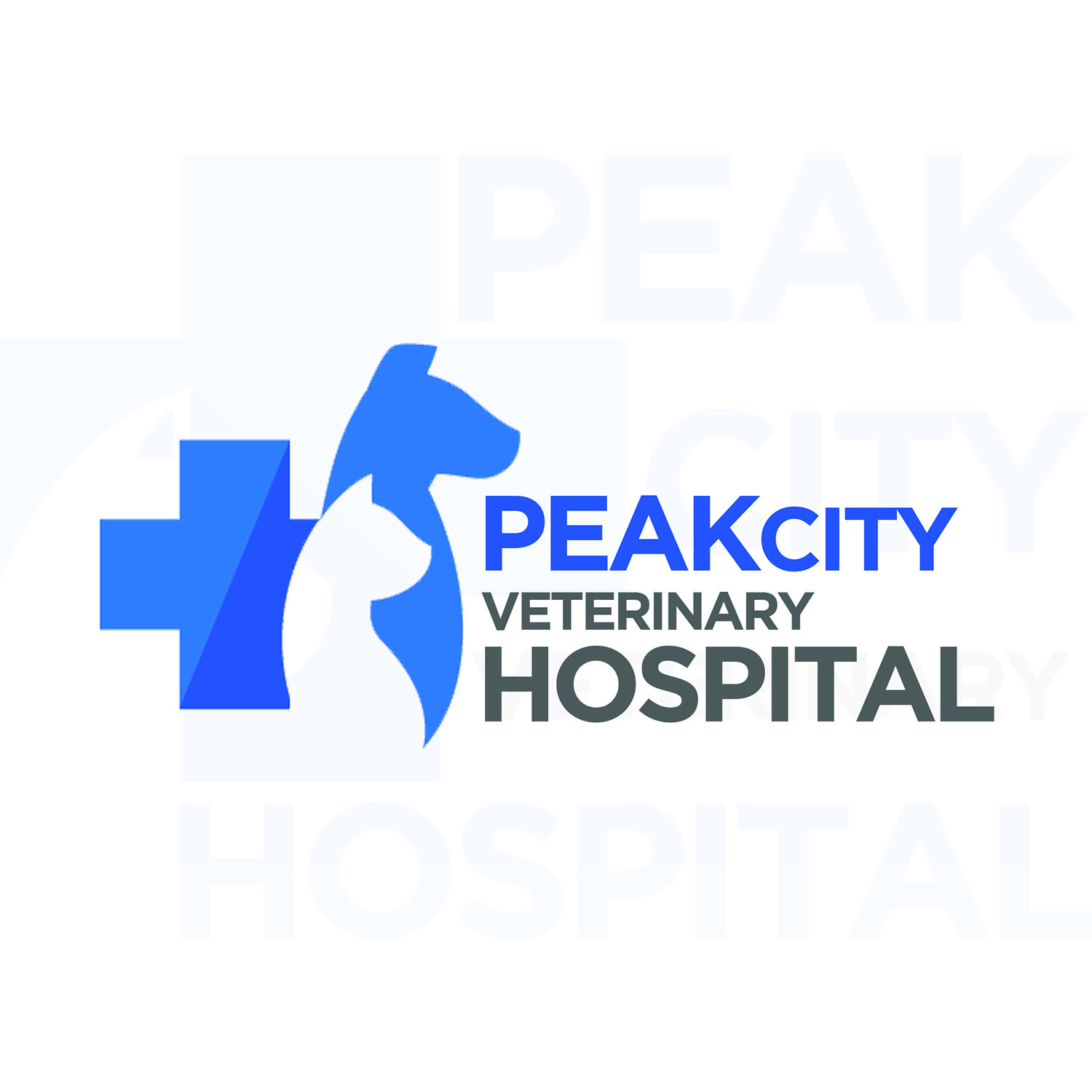 Logo-Design von Jaideep Ghosh für Peak City Veterinary Hospital | Design #17753745