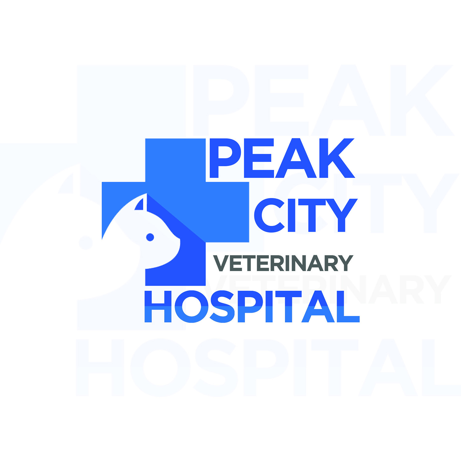 Logo-Design von Jaideep Ghosh für Peak City Veterinary Hospital | Design #17753746