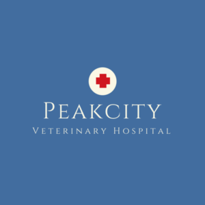 Logo Design by Ritik jain