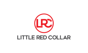 Logo Design by moisesf for this project | Design: #17715643