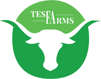 Logo Design by Himanshi10 for Tesfa Farms | Design #17690704
