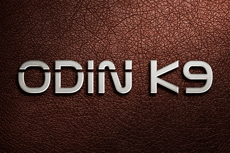 Logo-Design von Hossen 2 für dieses Projekt | Design #17713719