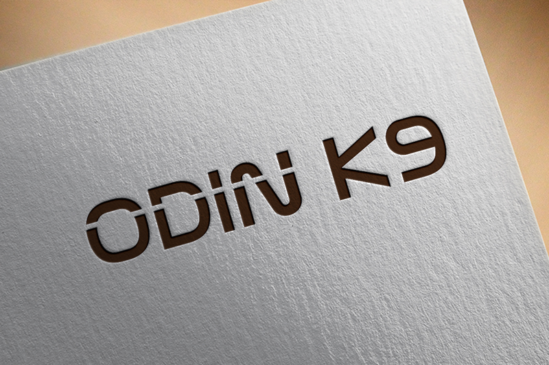 Logo-Design von Hossen 2 für dieses Projekt | Design #17713733