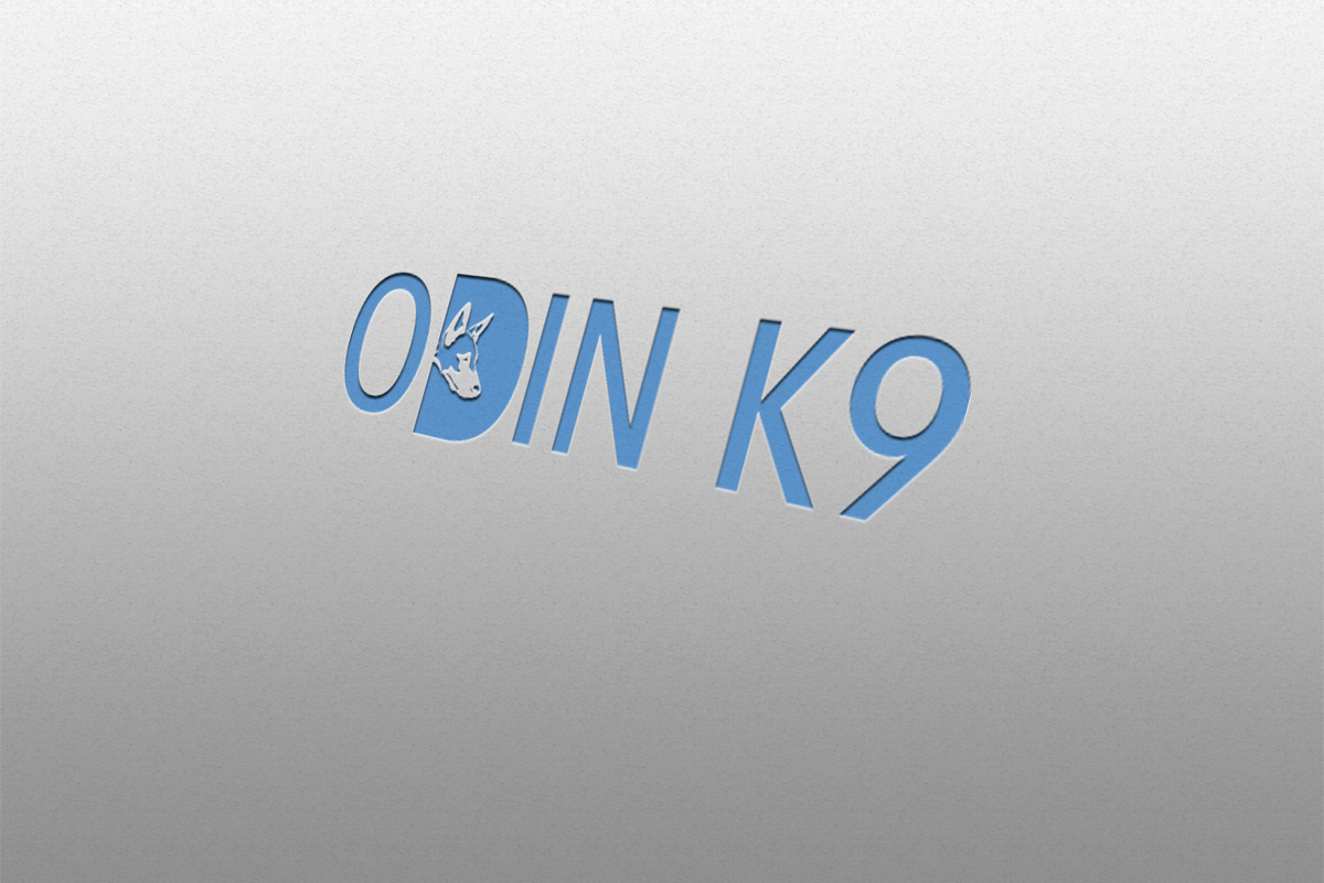 Logo-Design von Hossen 2 für dieses Projekt | Design #17713841